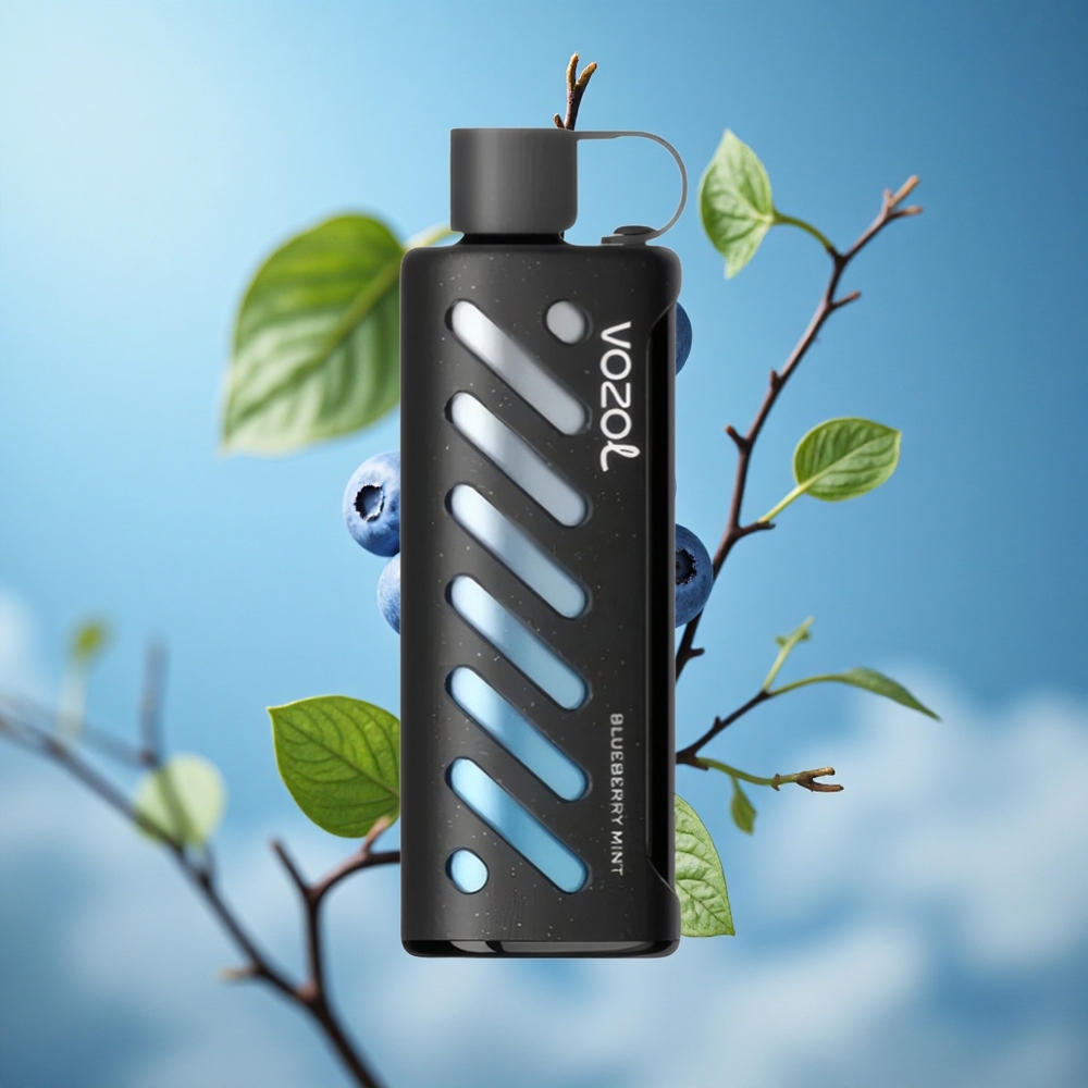VOZOL Gear Shisha 25000 Puffs Borovnica Met Kombinacija Aroma 30 Ukusnih Aroma Serbia vape