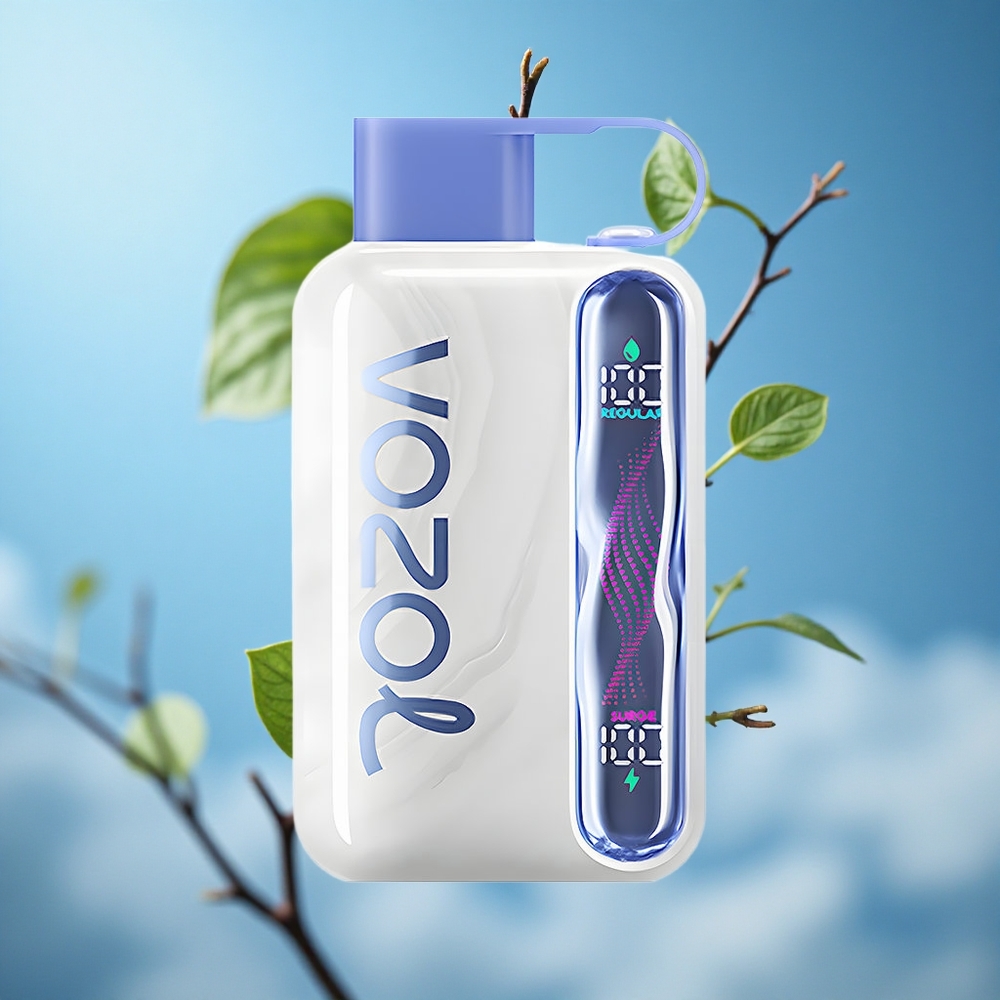 VOZOL STAR 40000 Pufova Dispozabilna Vape Borovnica Met + Тип-Ц пуњење Serbia vape