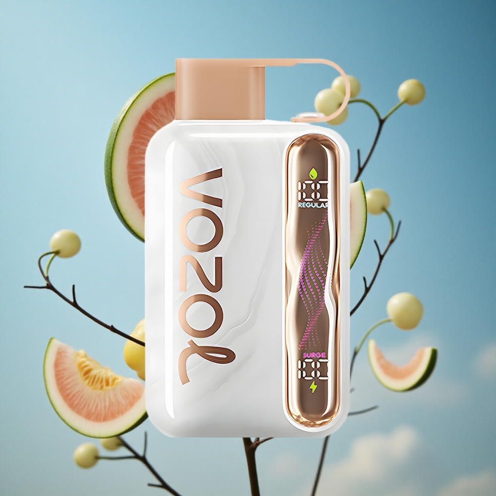VOZOL STAR 40000 Pufova Dispozabilna Vape Jagoda Breskva 1000mAh Serbia vape