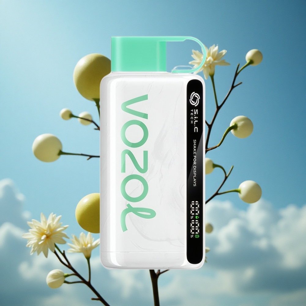 VOZOL STAR 9000/12000 Једнократни Вапе Cool Mint (Hladna Nana) 650mAh Serbia vape